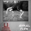 Animal flow