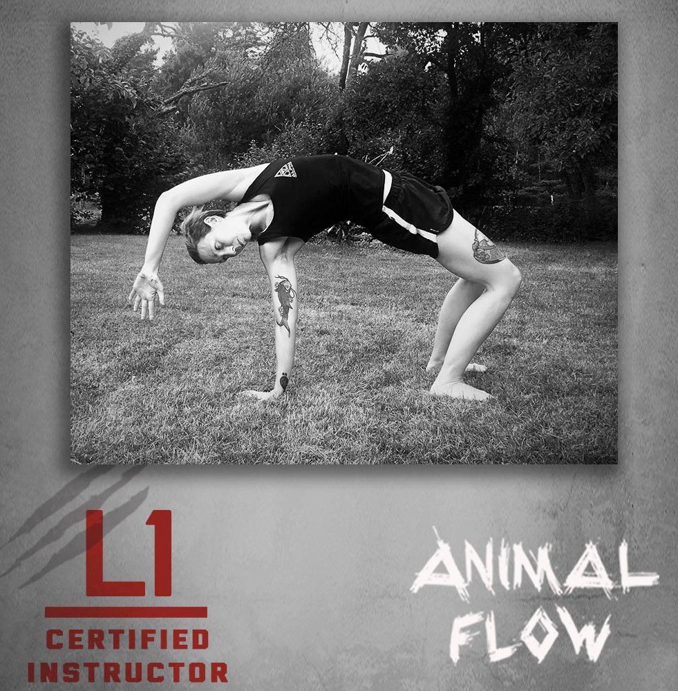 Animal flow